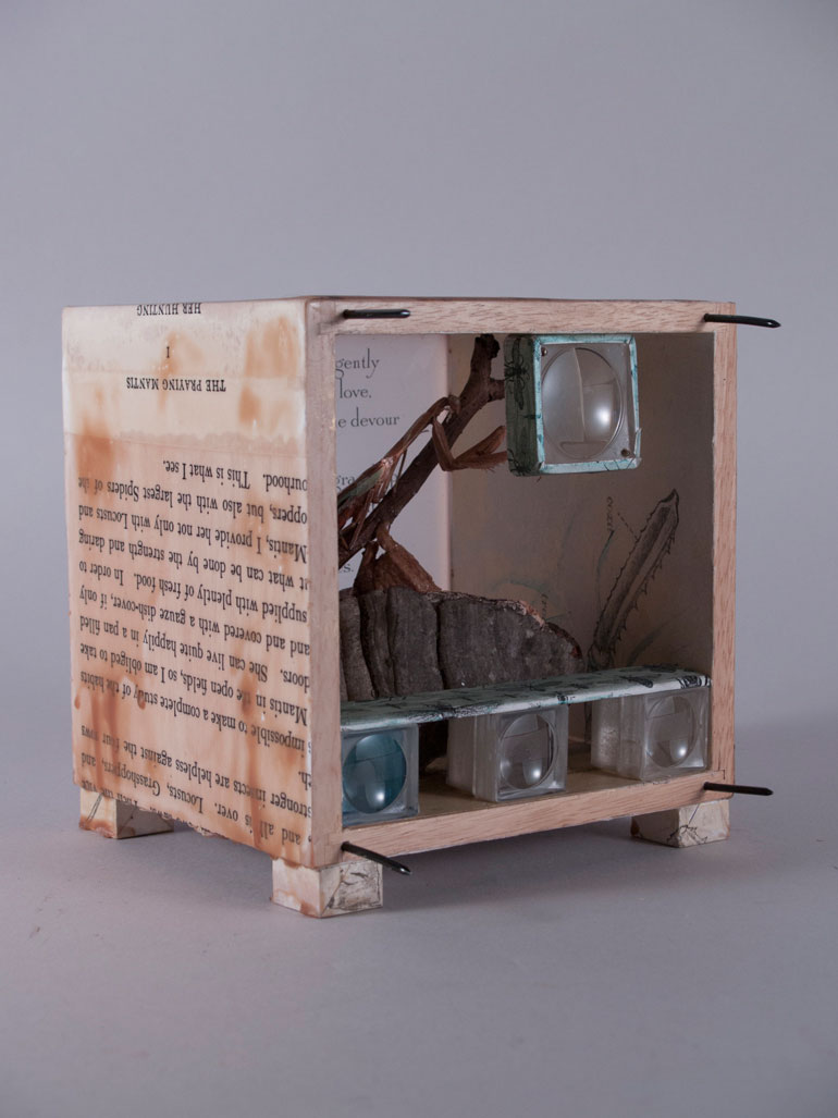 Praying Mantis Box
